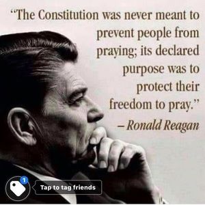 Meet your Posher, Babette